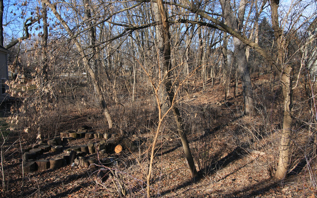 Lot 205 Shorewood Hills Rd