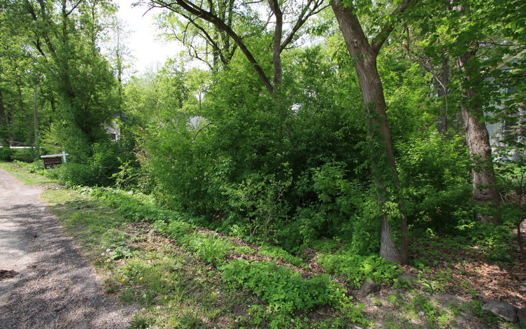 Lot 205 Shorewood Hills Rd
